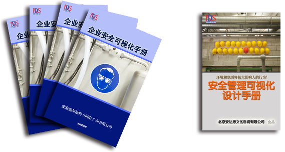 安全可视化